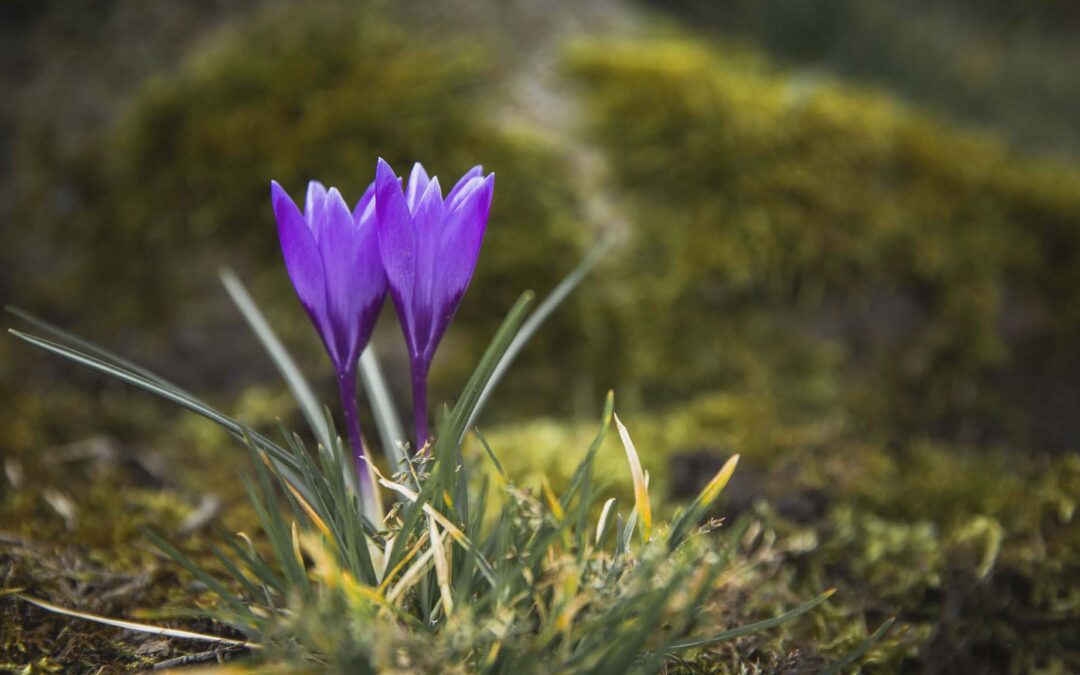 Tak til dig, der tør gå ind i den brændende bygning